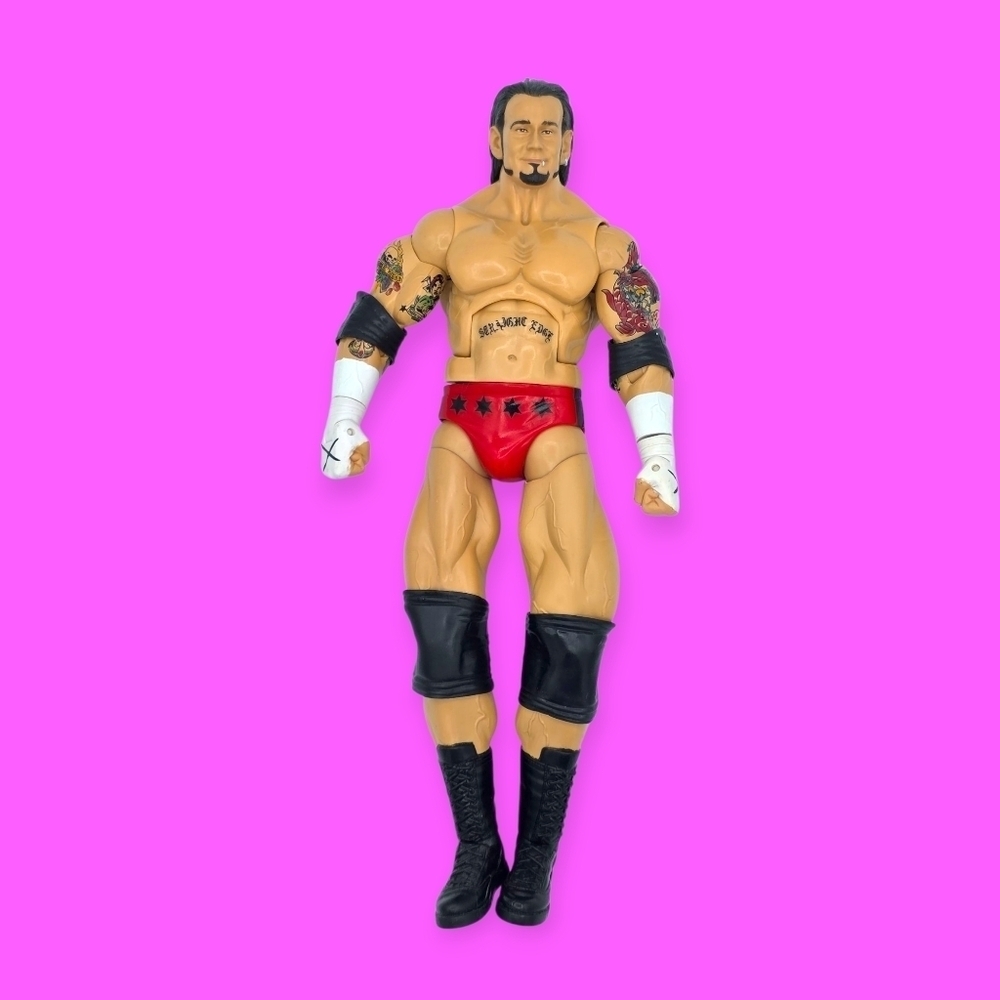 WWE CM Punk Maximum Aggression Wrestling Action Figure